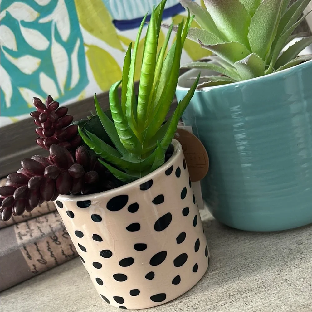 Polka Dot cheetah Planter with Succulents